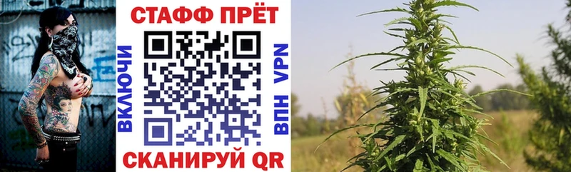 Названия наркотиков Покров Галлюциногенные грибы Каннабис Альфа ПВП Меф ГАШИШ
