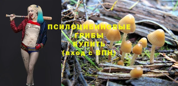 прущая мука Анжеро-Судженск