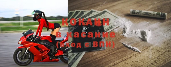 соль ск Алзамай