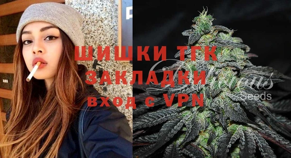 соль ск Алзамай